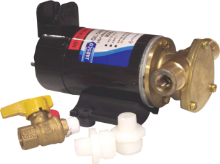 Impeller-Ölwechselpumpe 12V             