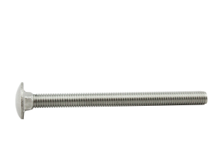 DIN 603/934 M 6 x 25 SB 2 Stk.