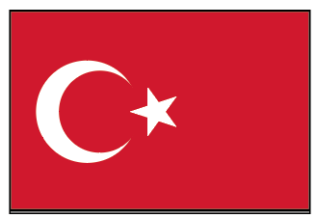 Flagge Türkei 20 x 30cm                 