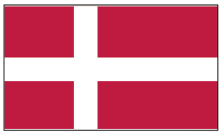 Flagge Dänemark 20 x 30cm               