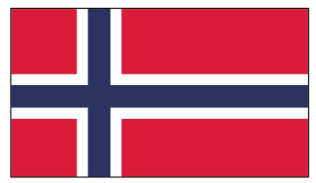 Flagge Norwegen 20 x 30cm               