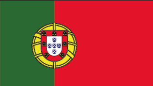Flagge Portugal 20 x 30cm               