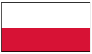 Flagge Polen 20 x 30cm                  