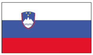 Flagge Slowenien 20 x 30cm              