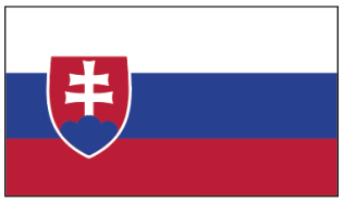 Flagge Slowakei 30 x 45cm               